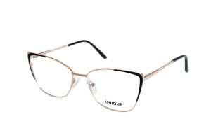 UNIQUE Ana1115 C1
