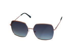 POLAR VISION PV 10066 A LOT2204