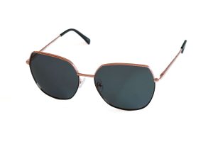 POLAR VISION PV 10067 B LOT2204