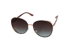 POLAR VISION PV 10076B