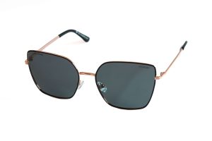POLAR VISION PV10075A