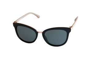 POLAR VISION PV20231A