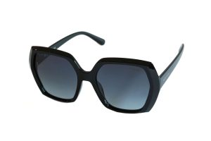 POLAR VISION PV20286A